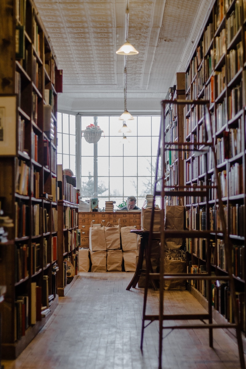 real, bookstore, bright, inside, day, man, counter, lighting equipment, book keeper, brown, pendant light, life, no people, chair, shelf, 5K, store, abundance
