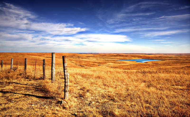 Landscape, flint, arid climate, barb, Flint Hills, 4K, special, Travel, Scenery, boundary, no people, Scene, tranquil scene, outdoors, environment, Kansas