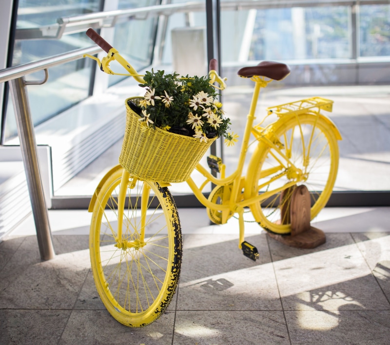 Flowers, day, plant, wheel, cycle, cycling, flower, transportation, mode of Transport, land vehicle, mode of transportation, focus on foreground, city Life