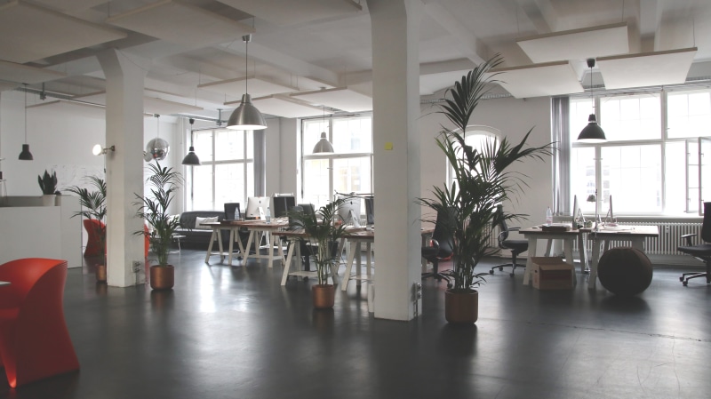 windows, chairs, clean, design, seat, plant, office, architectural design, technology, window, architectural column, lamp, reflection, nature, architecture
