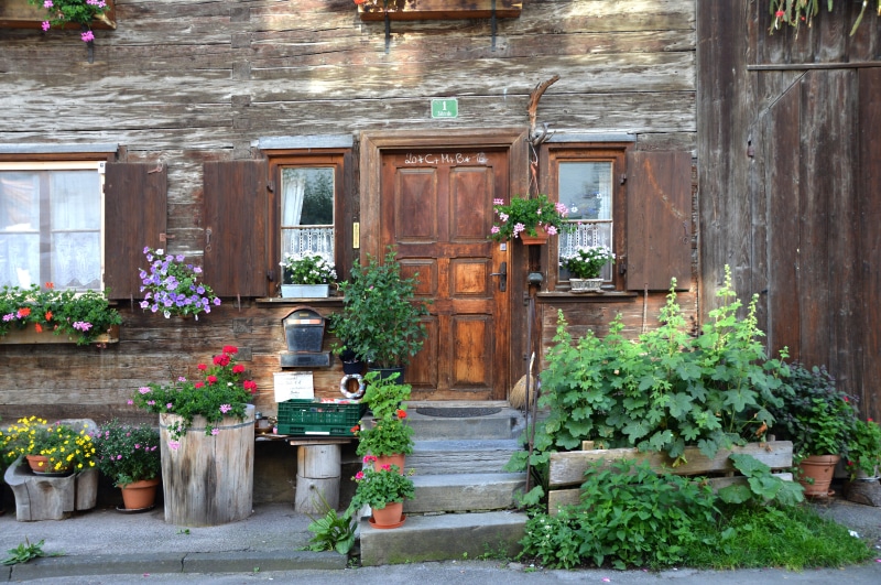 plant, architecture, flowering plant, brown, day, outdoors, 5K, green, wood - material, built structure, wooden, door, potted plant, flowers, house, no people