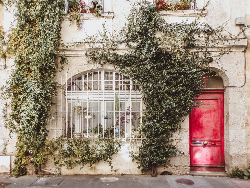 growth, arch, plants, urban, climbing, windows, built structure, no people, day, house, tree, front, doorway, traditional, daylight, climbing plant, plant