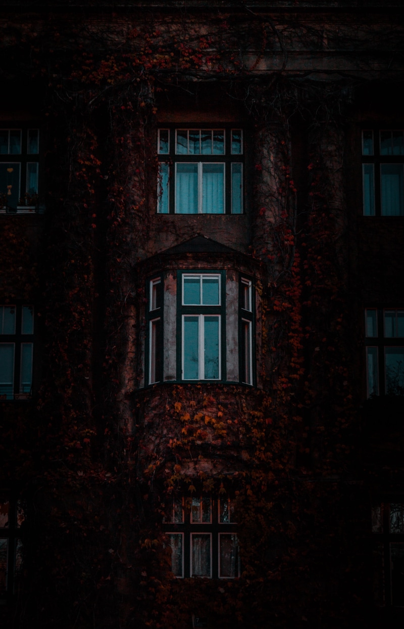 night, shutter, house, window, path, abandoned, outdoors, hrvatska, blue, tree, ivy, walkway, brick, 5K, no people, winter, female, urban, home decor