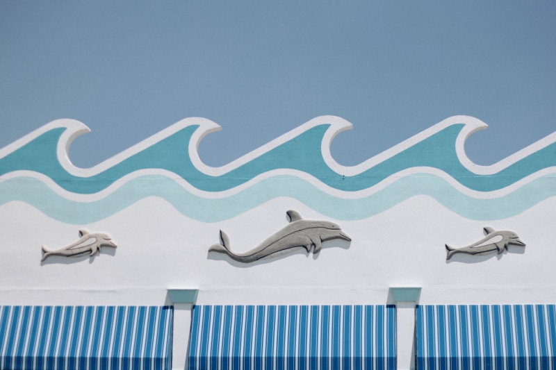 storefront, building, beach, animals in the wild, blue, animal themes, sky, fun, built structure, animal, 4K, emblem, swimming, day, sign, sunbathing