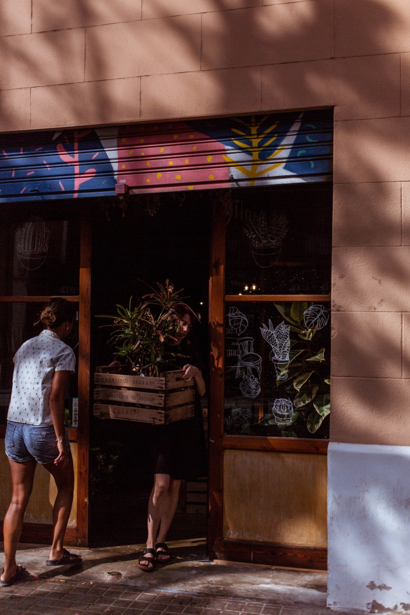crate, standing, leg, storefront, lifestyles, feet, nursery, denim short, girl, men, woman, 5K, store, lady, urban Scene, shop, person, door, plant, women