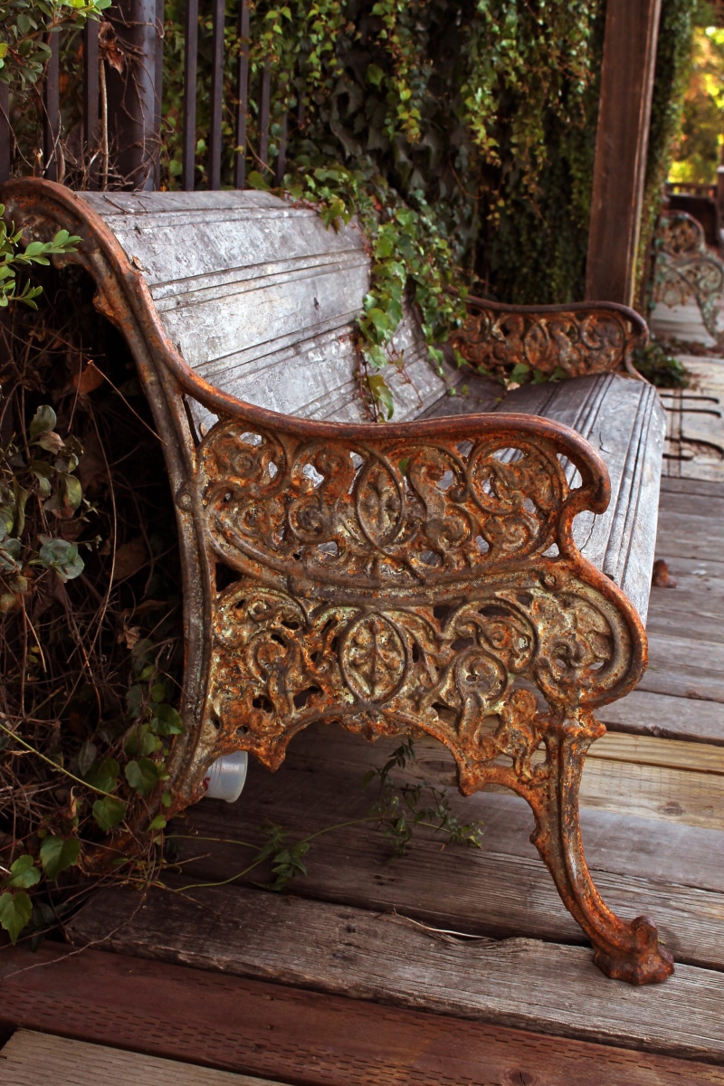 day, outdoors, design, no people, art and craft, storefront, rusty, ornate, growth, wood - material, park bench, rustic, 4K, tree, architecture, ivy, plant