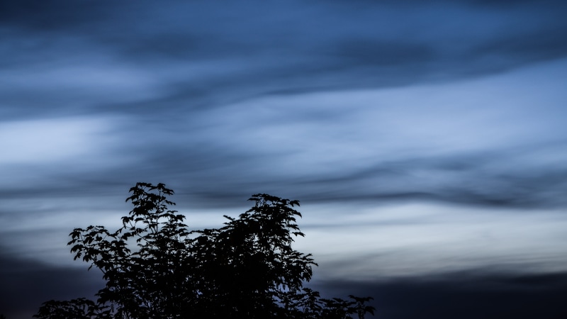 no people, silver bluish, storm, clouds, noctilucent clouds, veil, plant, ice particles, dusk, nature, 4K, treetop, cloud - sky, gloomy, shadow, beauty in nature