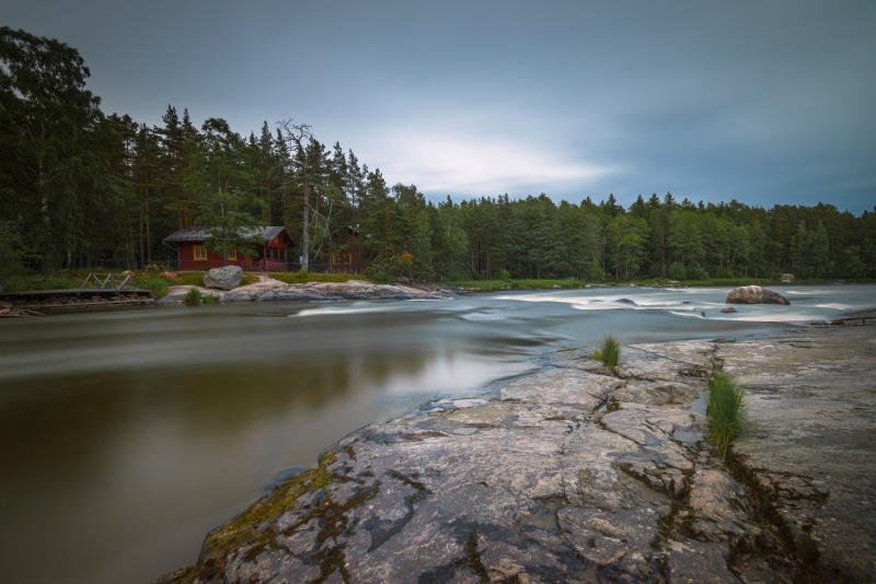 lake, tree, nature, finland, pine, landscape, river, 5K, water, Langinkoski, forest, rapids, outdoors, scenics, kotka, pine trees, trees