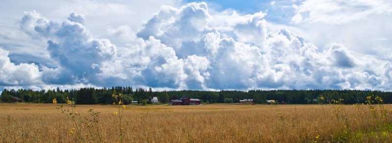 beauty in nature, Landscape, day, Clouds, sky, kotka, 2K, tree, outdoors, field, countryside, plant, transportation, Southern, grass, mode of transportation