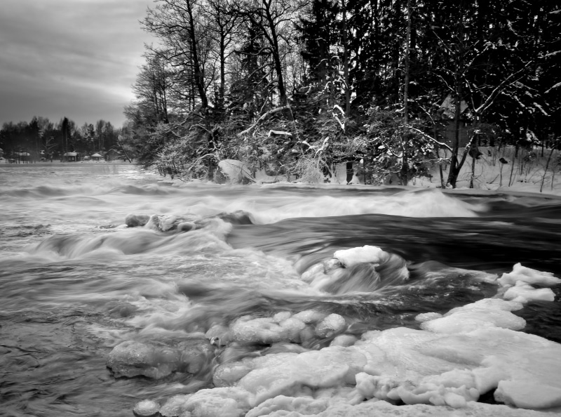 White, tranquil scene, Black, blurred motion, flowing, scenics - nature, Snow, tree, Winter, motion, rapid, Race, rapids, beauty in nature, water, cold temperature