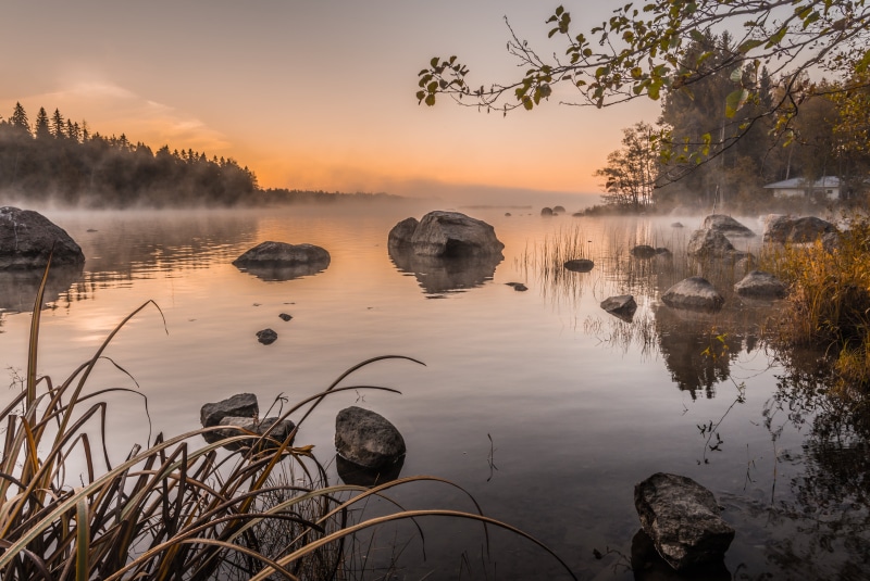 Morning, reflection, river, tree, spring, Dreamy, mist, fragment, outdoors, nature, nikon  d600, lake, sunset, top, scenics, landscape, langinkoski, water
