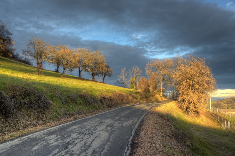 tramonto, luce, season, autumn, reggio  emilia, rural Scene, alberi, trees, strada, outdoors, array, road, grass, strade, hitting, monte, light, Italia
