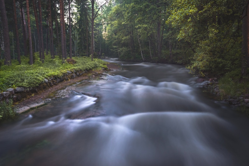 freshness, forest, green Color, kotka, beauty In Nature, landscape, time lapse photography, outdoors, flow, river, tree, long exposure, nature, nikon  d600