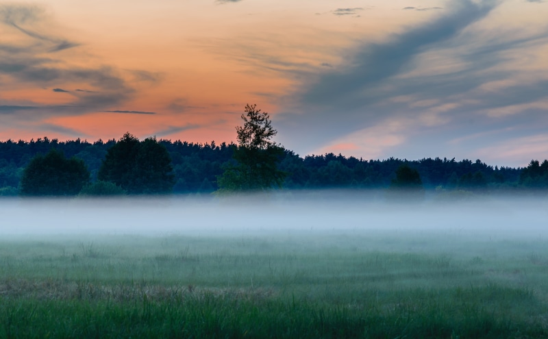 growth, outdoors, scenics - nature, cloud - sky, trees, hazy, Beautiful, Mist, tranquility, Landscape, nature, beauty in nature, plant, 5K, Forest, Seasons