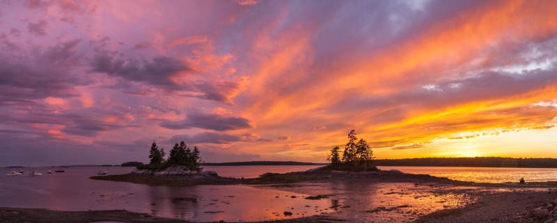 summer, silhouette, sky, sea shore, nature, beach, landscape, Harpswell  Maine, 1080P, shore, Sunset, dusk, sea, tree