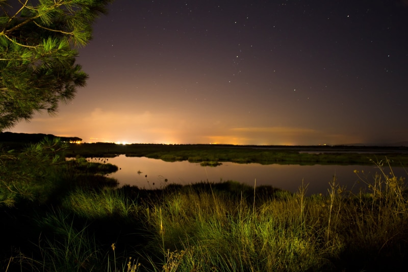 body, light  night, landscape, scenics, reflection, City lights, stagno, green, stars, lake, night, green grass, 1080P, milky Way, stelle, grass, field
