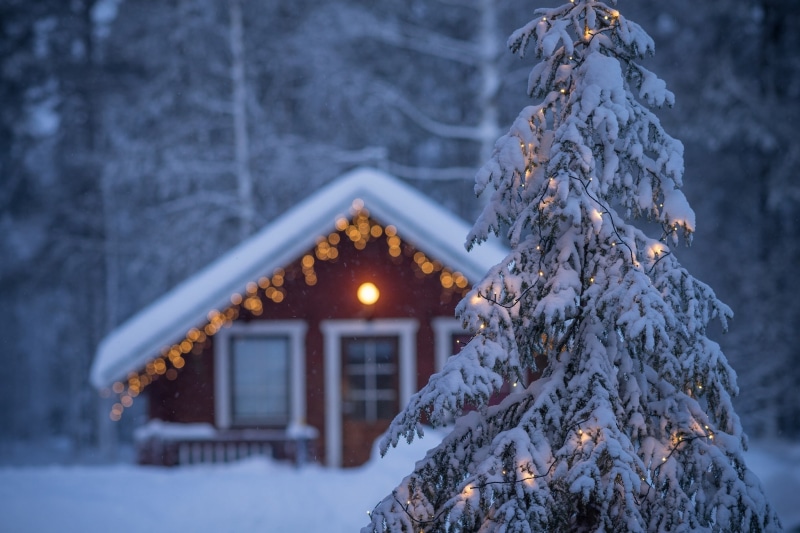 tree, pine, 1080P, winter, Finland, Lapland, covering, house, garland, snow, fir