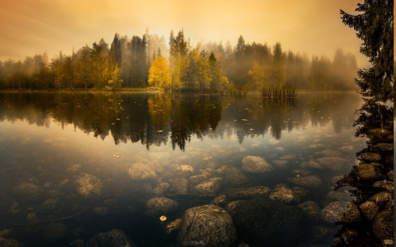 standing water, reflection lake, plant, sunrise, water, Stones, 720P, scenics - nature, no people, Fall, reflection, beauty in nature, idyllic, fog, Finland