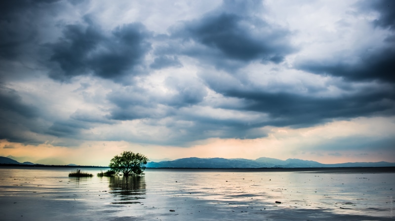 sea, beauty In Nature, Tree, cloudscape, sky, nature, Clouds, cloudy, water, Lake, Lindau, body, body of water, Flooded, outdoors, reflection, scenics