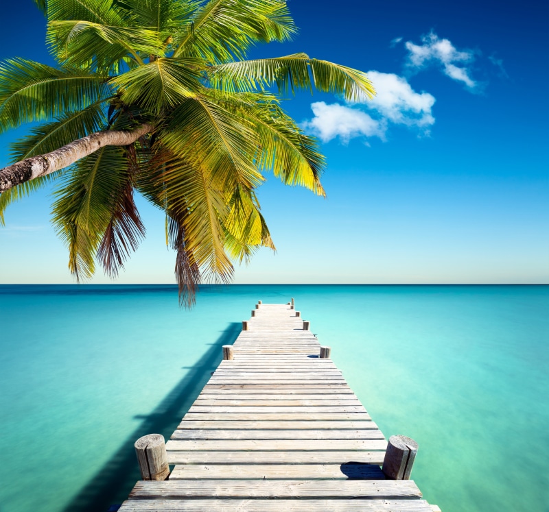 horizon Over Water, water, horizon, sunlight, jetty, tree, pier, the ocean, luxury, wood - Material, nature, sunny, trip, travel, wooden, caribbean Sea