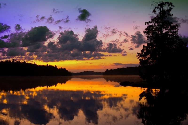 travel, sunrise landscape, summer, scenic, silhouette, beauty in nature, water, plant, scene, landscape, yellow, tree, orange background, tranquility, sunrise