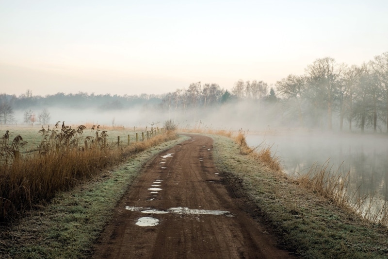 day, transportation, environment, diminishing perspective, scenics - nature, dirt road, morning, the way forward, sky, fence, river, fog, green, 1080P