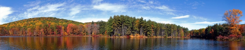 lake, plant, tranquil scene, water, landscape, no people, beauty in nature, sky, tranquility, red leaves, change, nature, panoramic, reflection, autumn