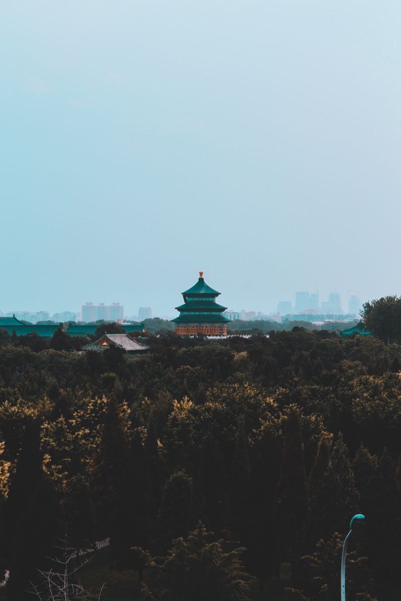 no people, plant, religion, tree, day, historic site, explore, place of worship, sky, china, rooftop, travel destinations, travel, building, outdoors, spirituality