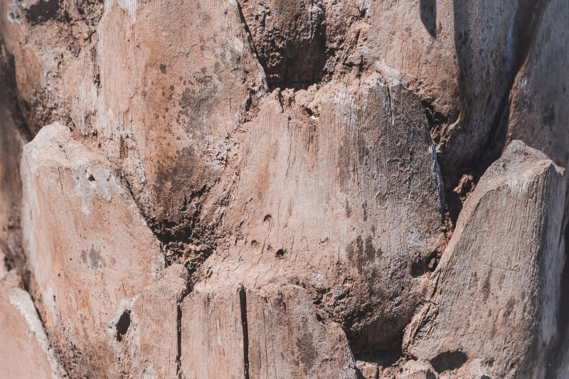 colour, ridge, full frame, outdoors, wood, trunk, pattern, rocks, mountain, world, tree trunk, 2K, rock - object, uneven, rock, day, wood - material, nature
