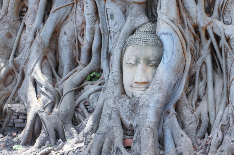 sculpture, ancient civilization, religion, aisa, art and craft, growth, spirituality, nature, one color, no people, thailand, patter, history, facade, creativity