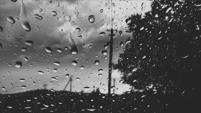 monochrome, 2K, transparent, indoors, focus on foreground, window, glass, raindrop, wet, tree, nature, plant, car, water, water on glass, close-up, dew
