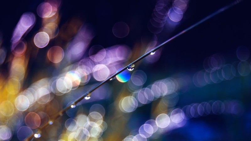 photography, purple, fiber optic, water drops, selective focus, night, defocused, close-up, nightlife, lighting equipment, indoors, shape, illuminated