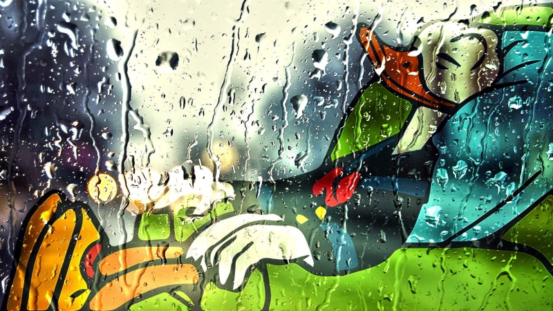 car, Donald Duck, rain, 1080P, transparent, rest, wet, illustration, indoors, no people, duck, full frame, nature, donald, rainy season, transportation