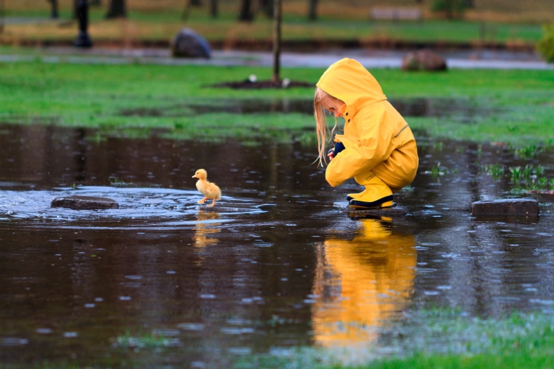 mud, duck, water, raincoat, animal themes, wet, real people, child, spring, autumn, summer, yellow, cloak, clothing, bird, New York, playing, puddle, rain