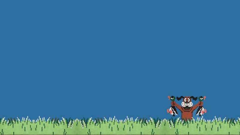 animals, 720P, art, x, hd, duck, ducks, hunt