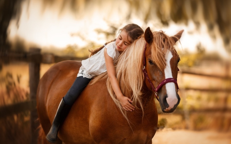 Horse, Little Girl, Depth Of Field, Girl, Photography, Child, 1080P