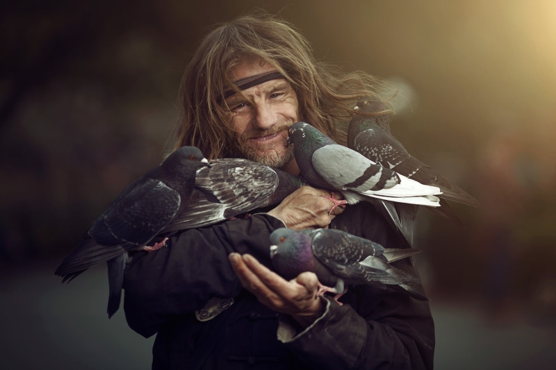 photography, depth of field, people, 720P, birds