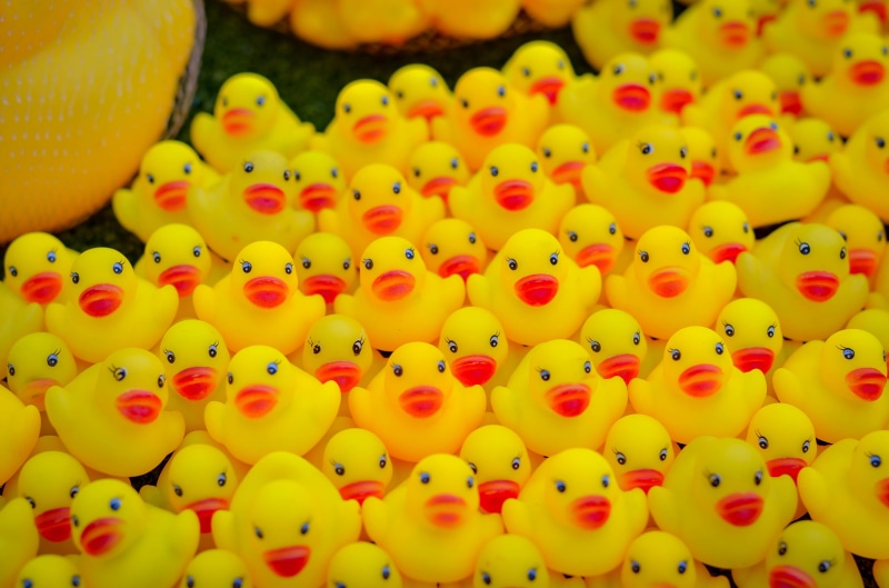 2K, ducky, water, no people, fun, game, choice, young, close-up, one, toy, art, cute, indoors, food, shower, icon, bathing, duckling, squeak, illustration