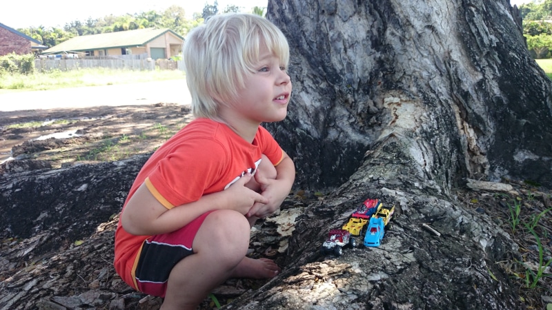 day, male, sunny, happiness, white, summer, lifestyle, human, joy, kid, face, little boy, boy, person, tree trunk, small, bright, cheerful, lifestyles