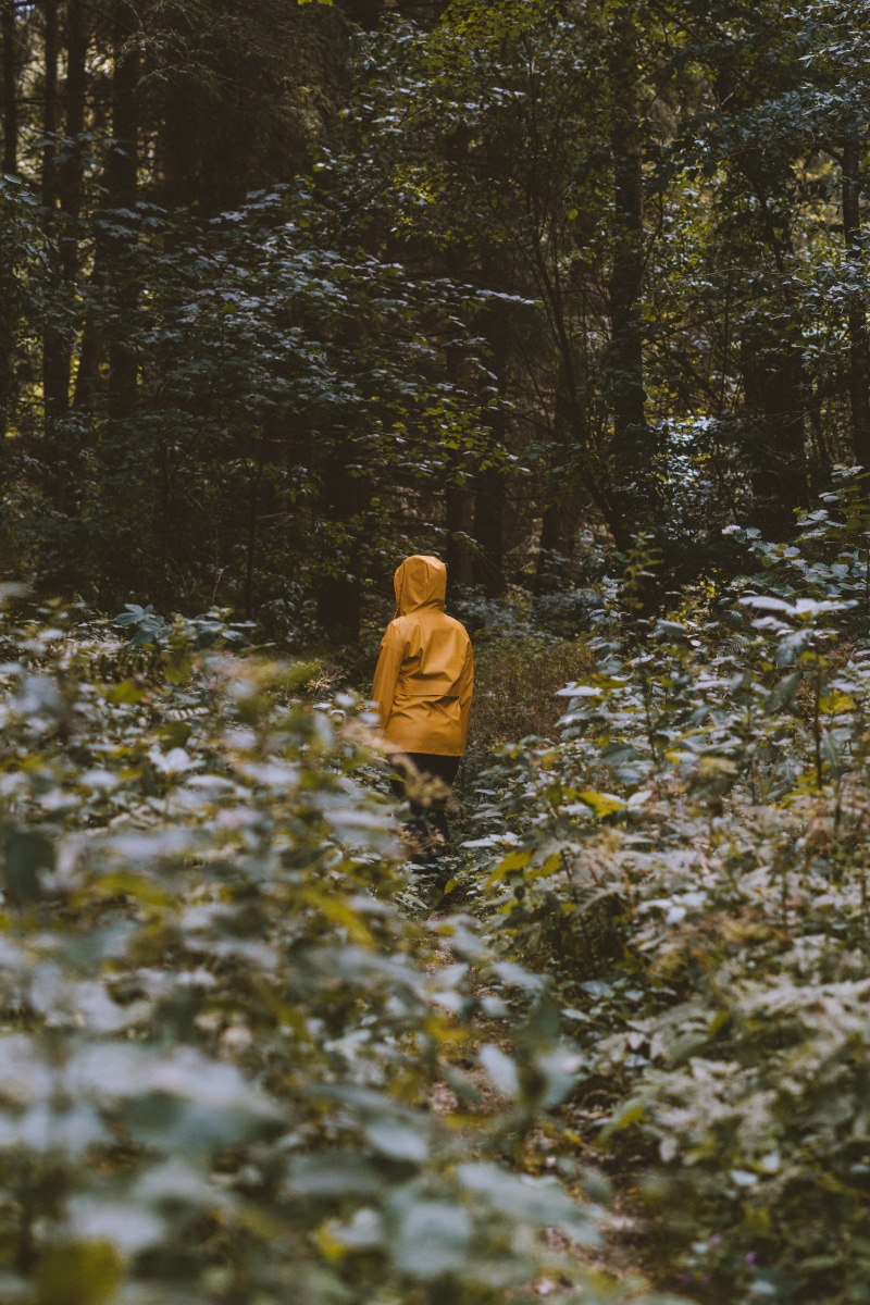 growth, water, person, lifestyles, clothing, brown, standing, 5K, nature, people, outdoors, real people, tranquility, raincoat, non-urban scene, human