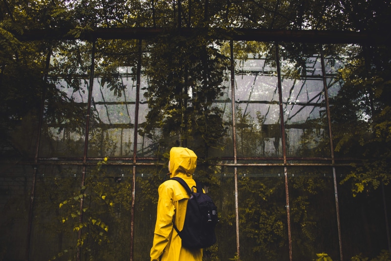 person, environment, three quarter length, water, tree, clothing, black, real people, top, protection, vines, plant, adult, rear view, portrait, waist up