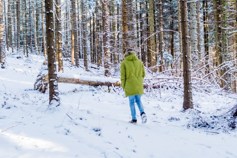 clothing, land, shoe, winter, lifestyles, 5K, outdoors, real people, full length, fir, forest, trunk, wearing, green, parka, cold temperature, one person