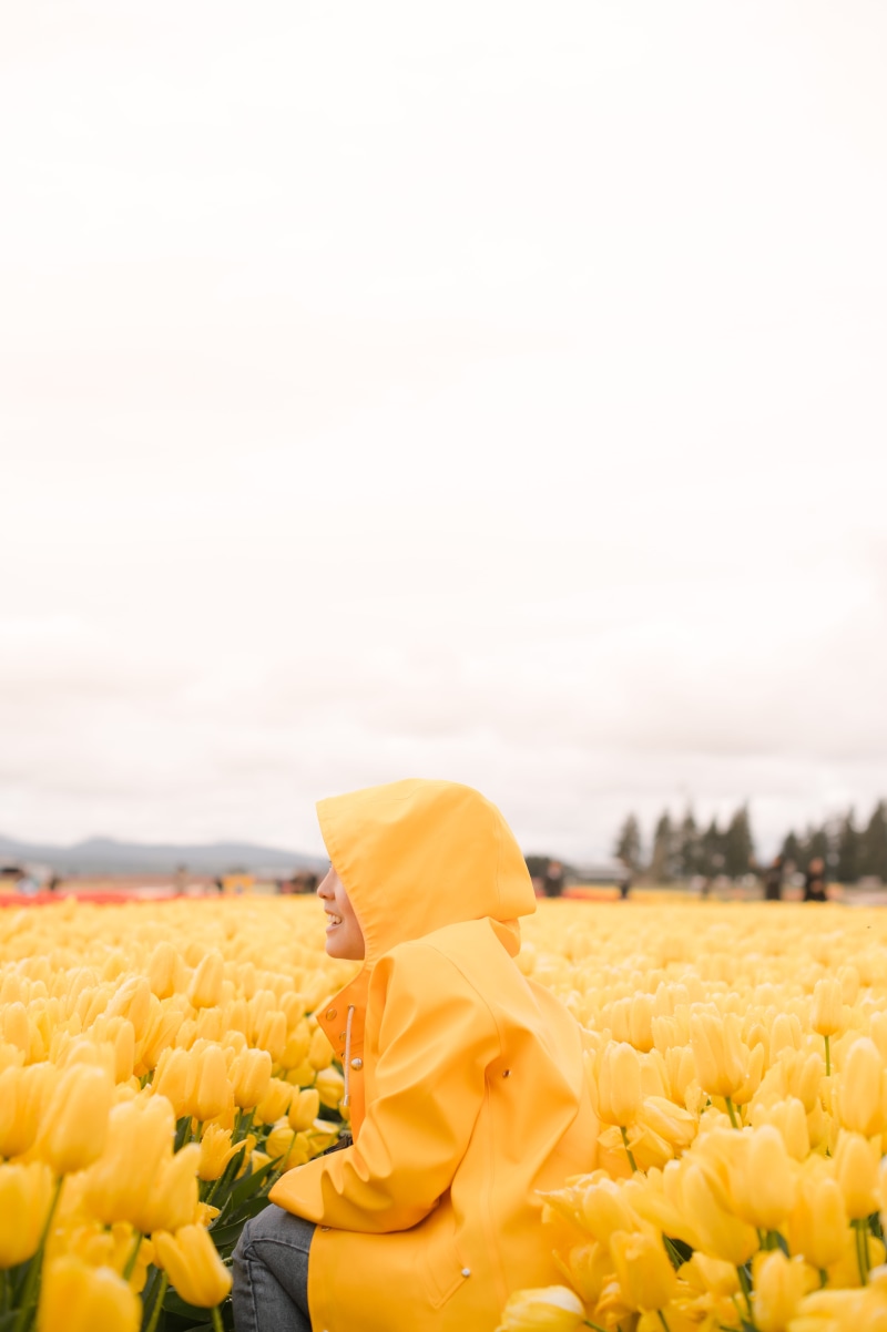 flowering plant, girl, person, clothing, copy space, breathe, dom, growth, flowers, hairstyle, vulnerability, 5K, fragility, landscape, sunflower, plant