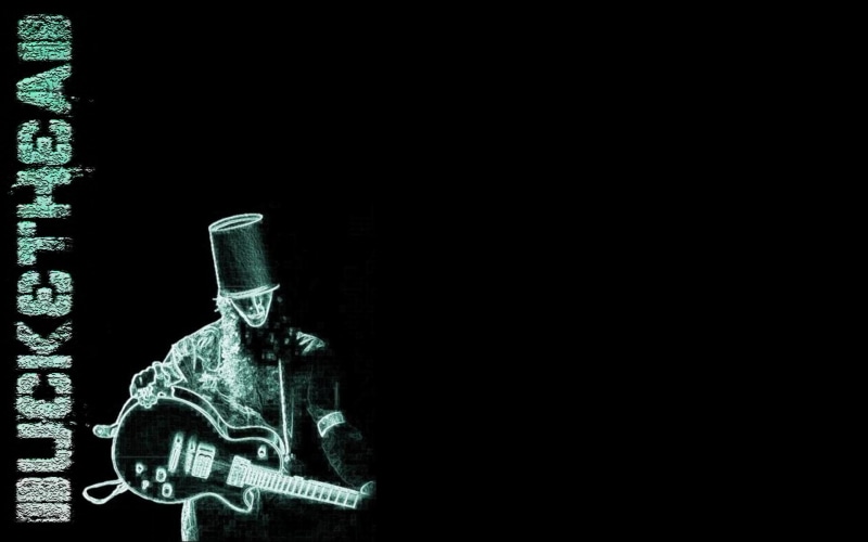 instrumental, bluegrass, avant, progressive, experimental, guitarist, guitar, heavy, buckethead, garden, metal, 1080P, funk