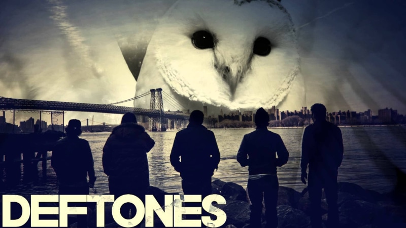 deftones, alternative, metal, owl, experimental, rock, heavy, hard, 1080P, nu-metal