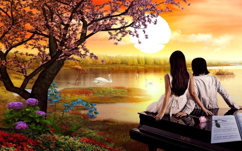 sunset, tree, lake, swan, couple, nature, spring, hd, romantic, flowers, bloomed, love, 2K