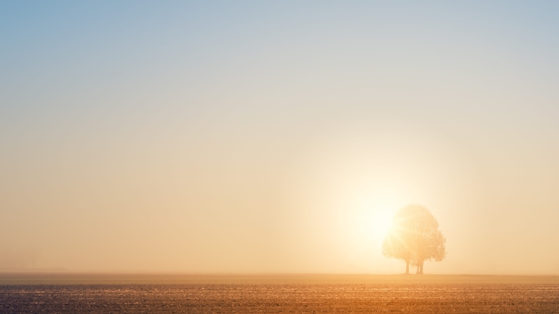 field, light, morning, minimalism, mood, sun, scenics - nature, sunlight, backlighting, landscape, tree, arable, copy space, sea, blinding, sky