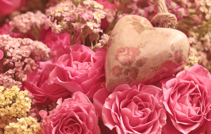 template, no people, floral greeting, petal, rose - flower, map, 5K, fragility, bunch of flowers, beautiful, freshness, background, pink, thank you, plant