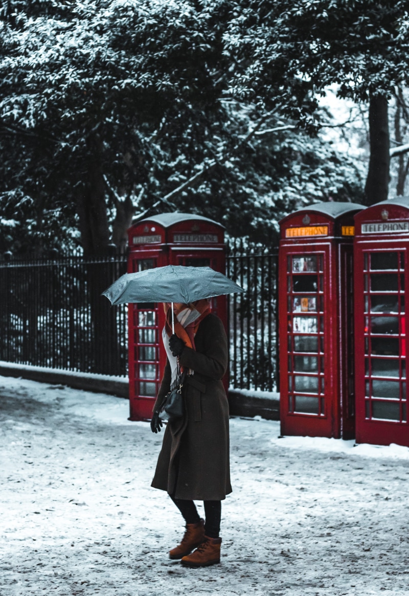 telephone box, women, real people, nature, umbrella, tree, rear view, standing, front, phone box, snow, one person, woman, cold temperature, near, winter