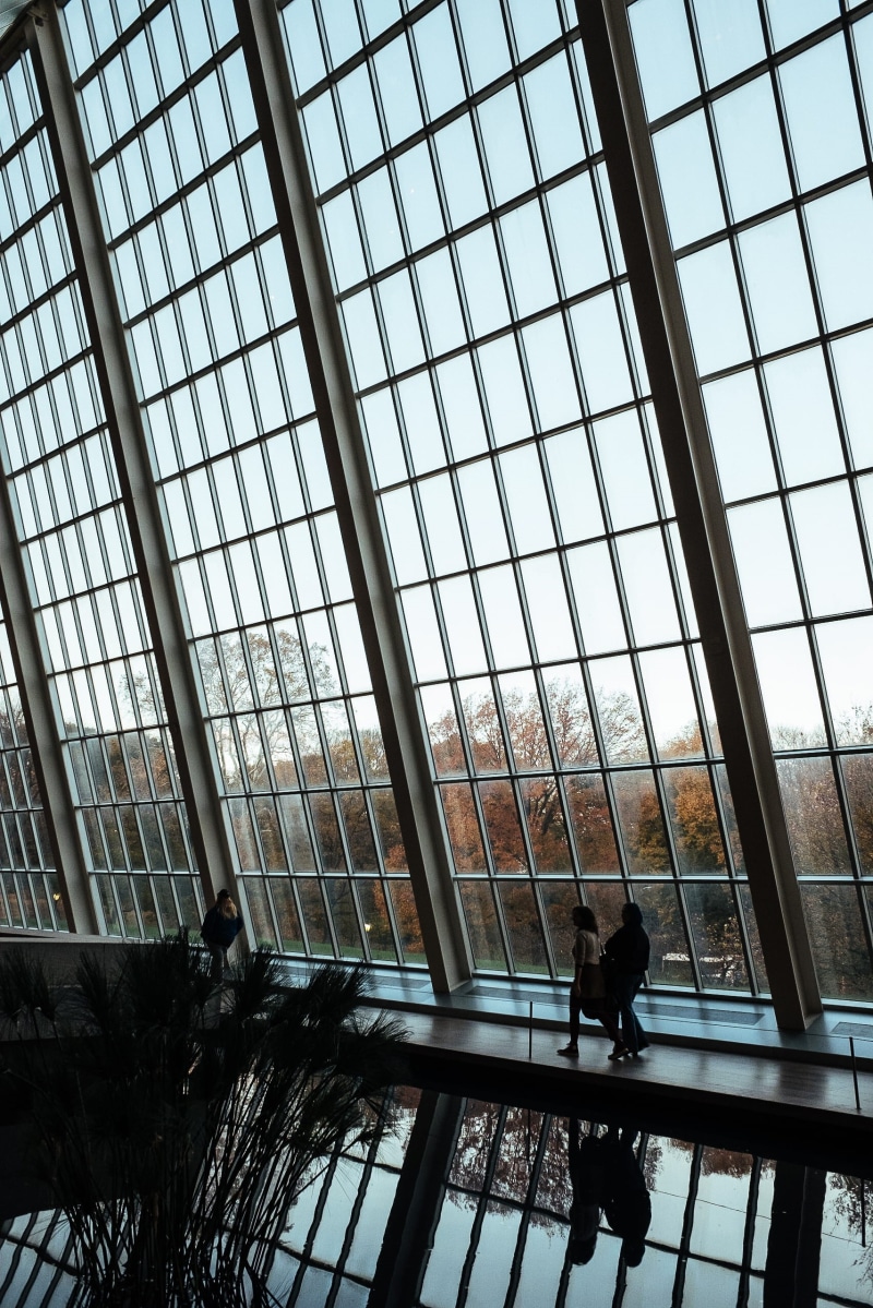 architectural, architecture, window, people, nature, daytime, ceiling, built structure, men, persons, woman, reflection, day, indoors, real people, inside